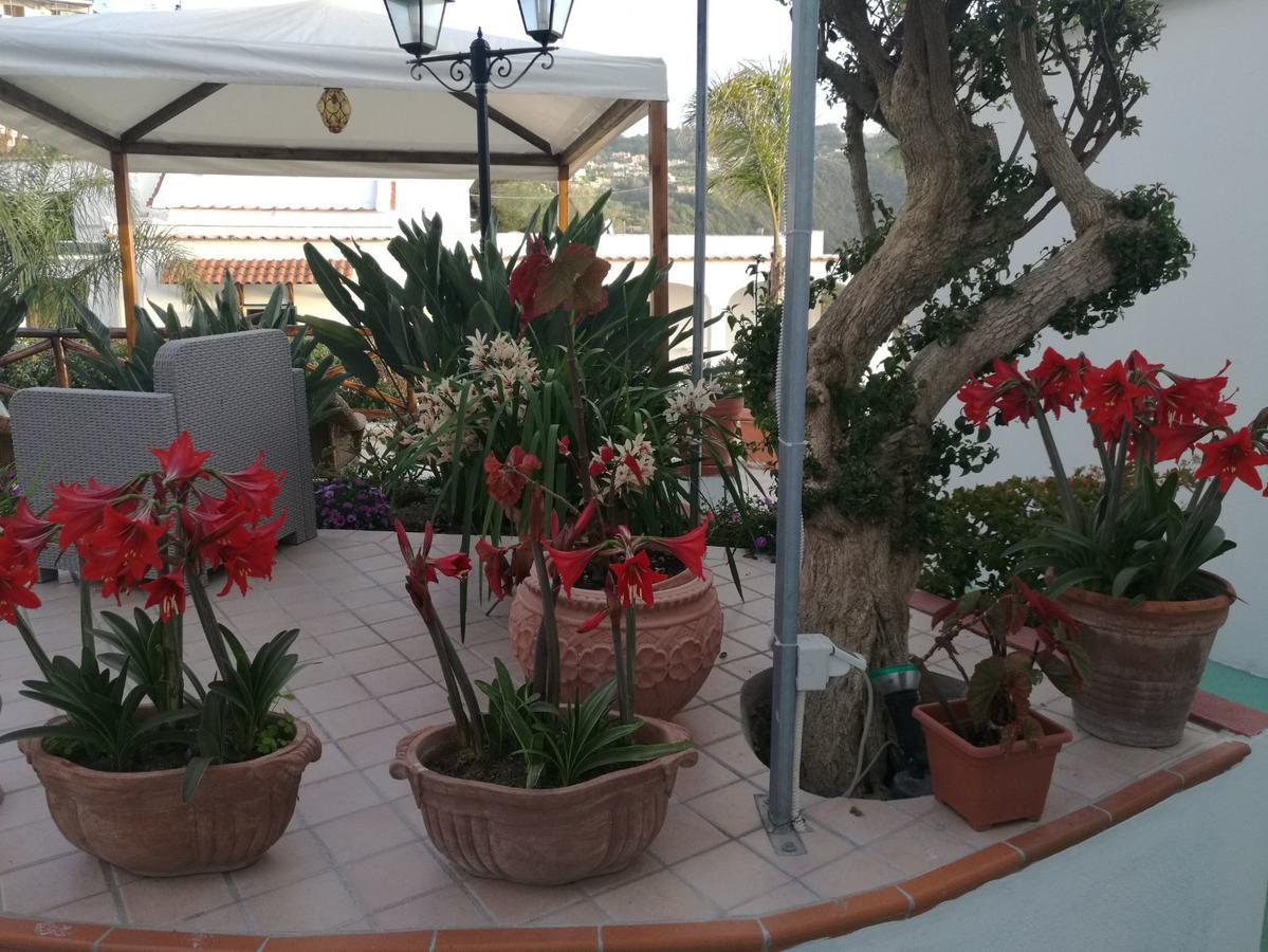 Villa Loreta Forio di Ischia Exterior foto