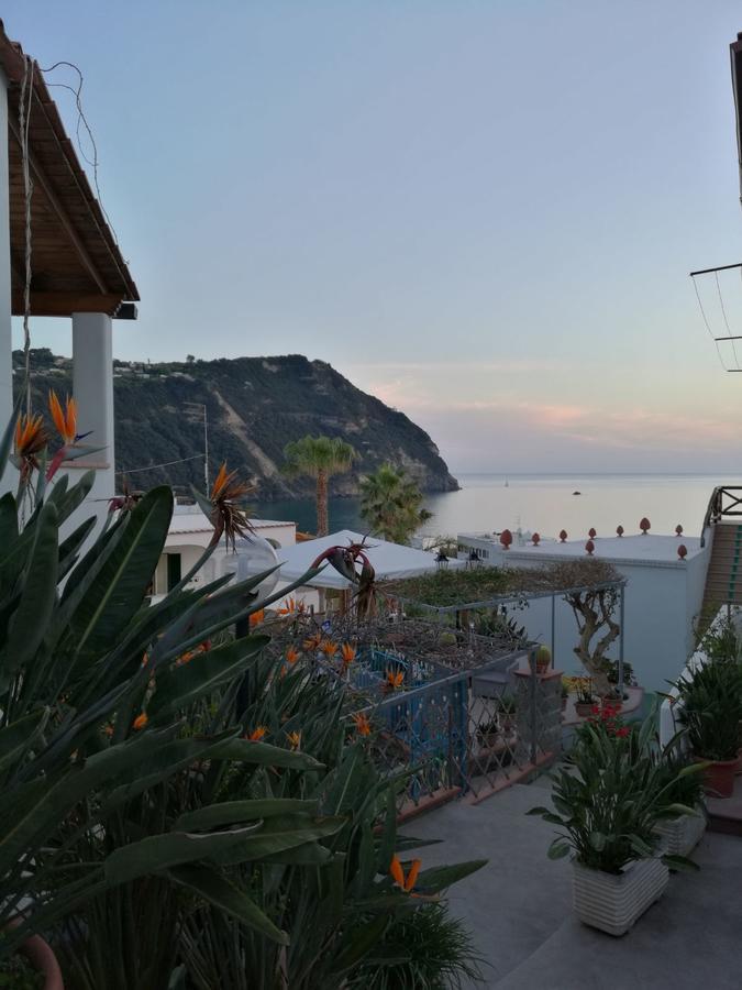Villa Loreta Forio di Ischia Exterior foto