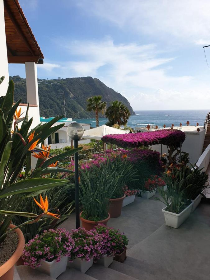 Villa Loreta Forio di Ischia Exterior foto